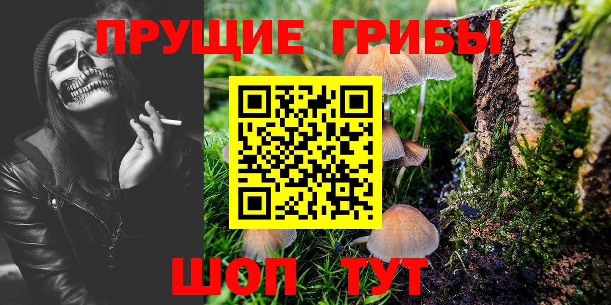Галлюциногенные грибы Cubensis Котельники