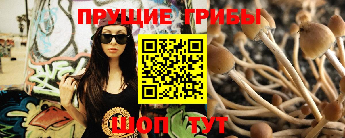 Котельники  Псилоцибиновые грибы Psilocybe  Псилоцибиновые грибы Cubensis  Вход с VPN 